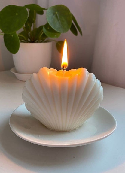 Shell Candle